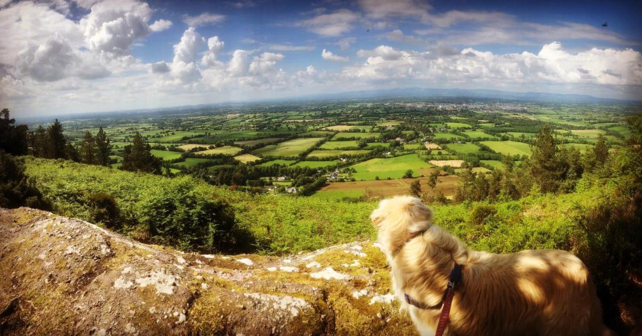 Ballyglass Country House Tipperary Exteriör bild
