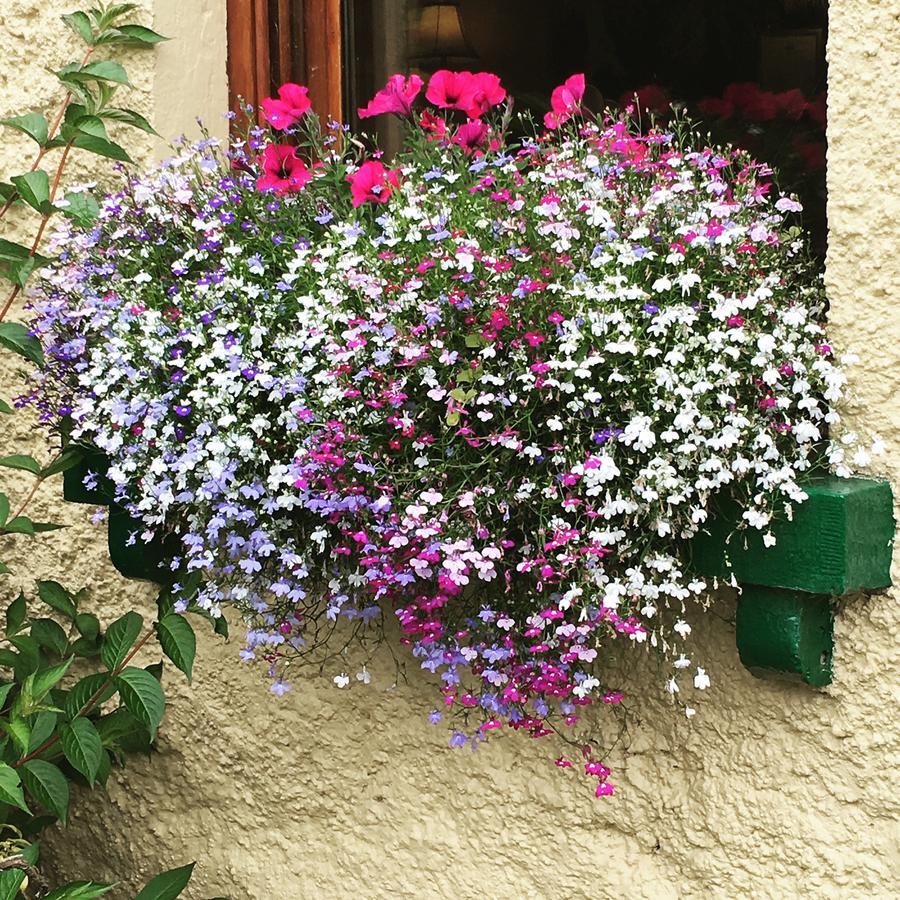 Ballyglass Country House Tipperary Exteriör bild